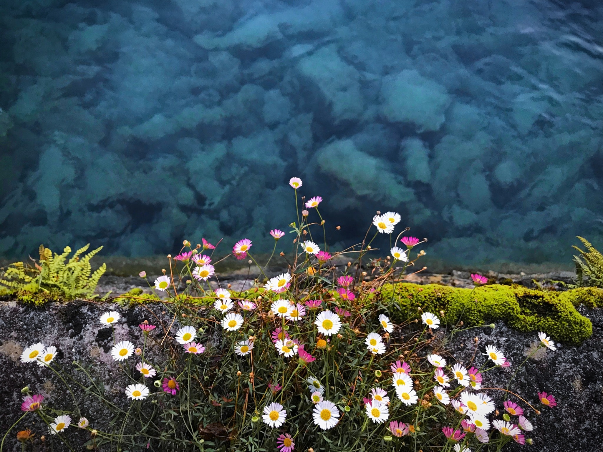 iewek-gnos-Li35OaLIqsI-unsplash