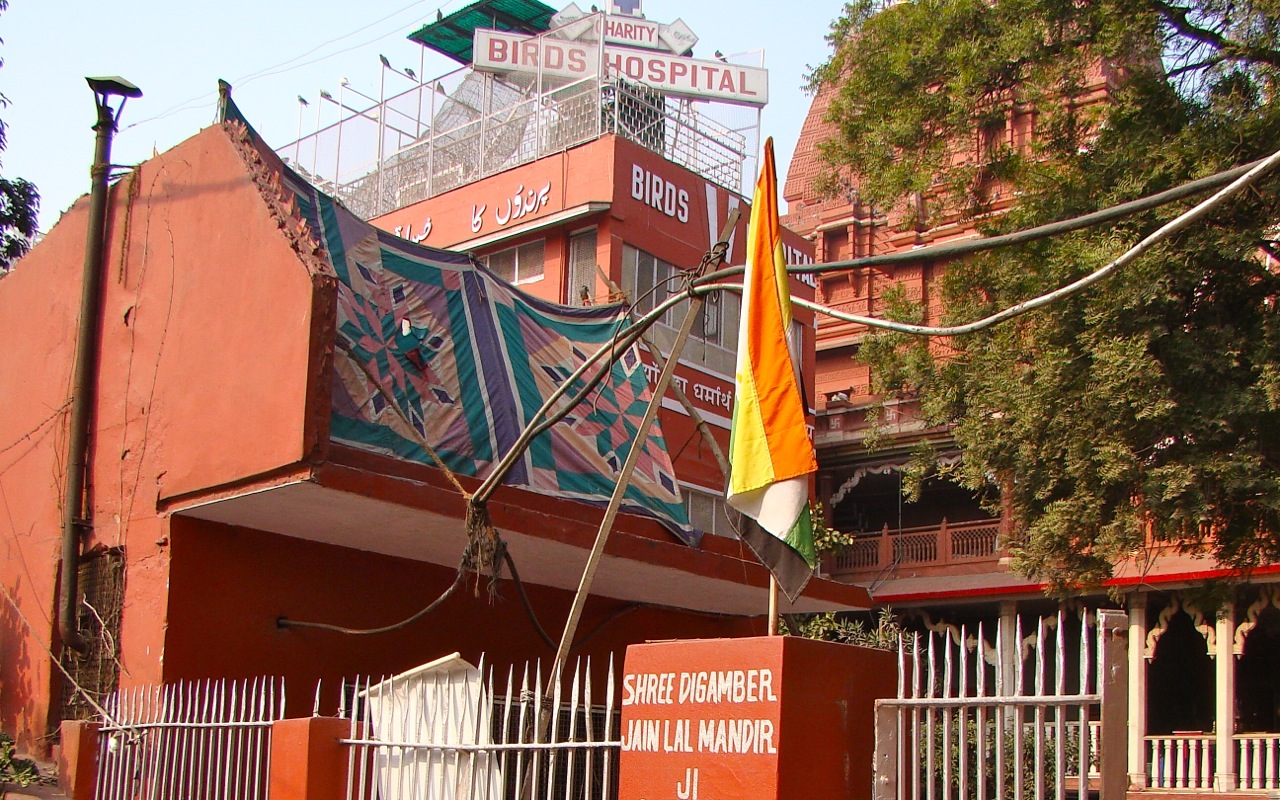 bird hospital india delhi