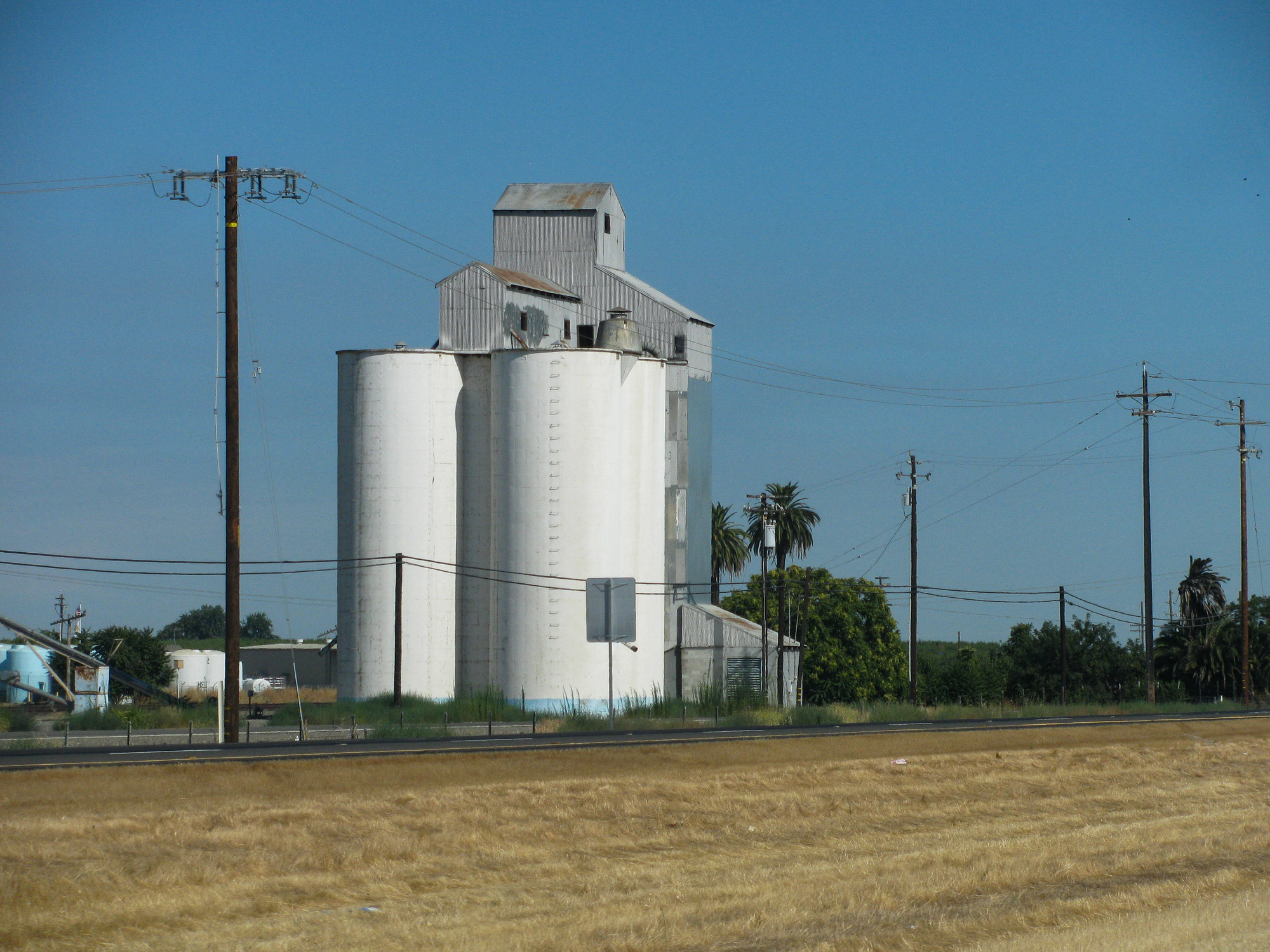 california licensed vince zen