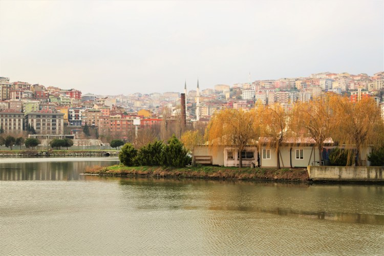 estuary-4766088_1920