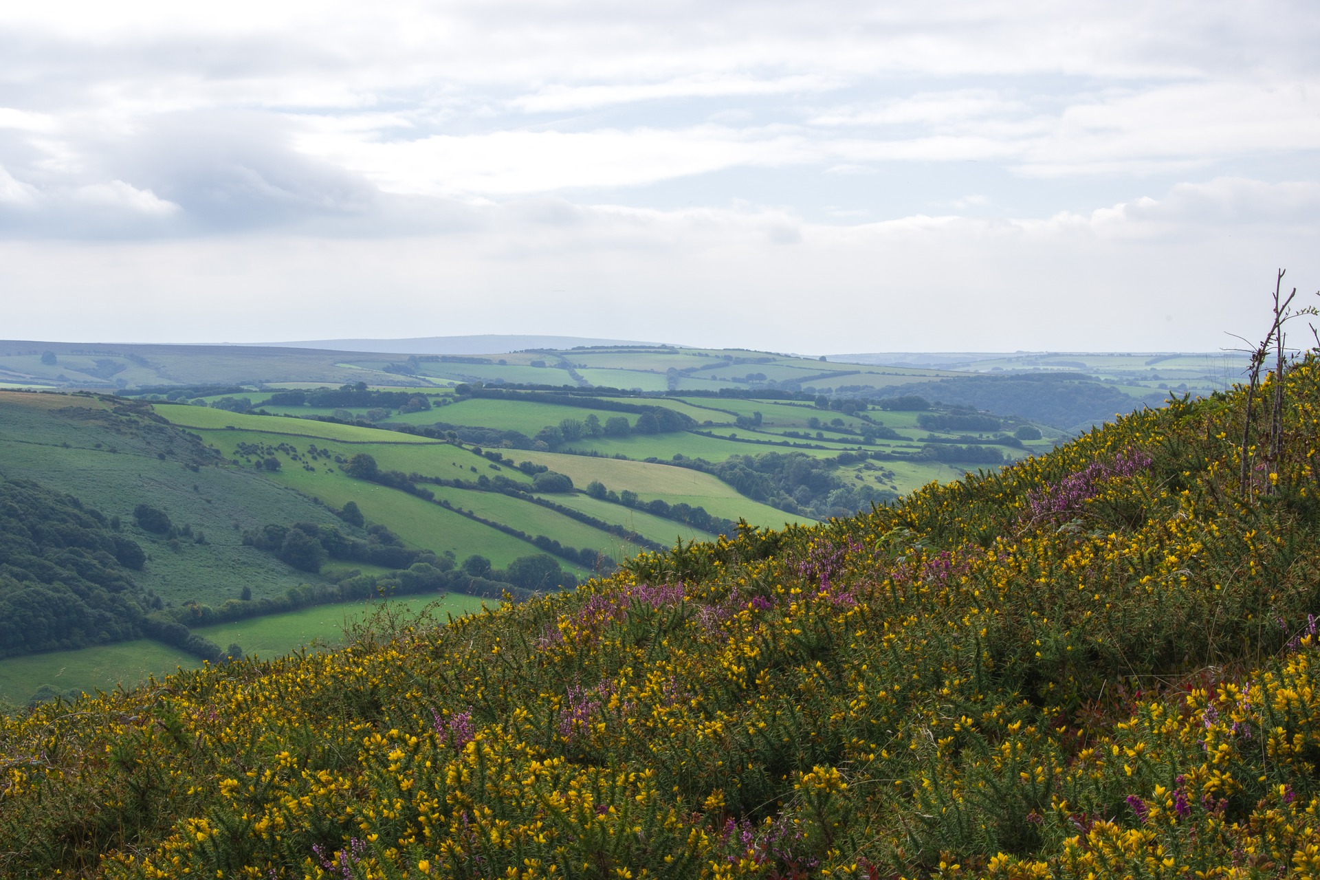 exmoor-3809629_1920