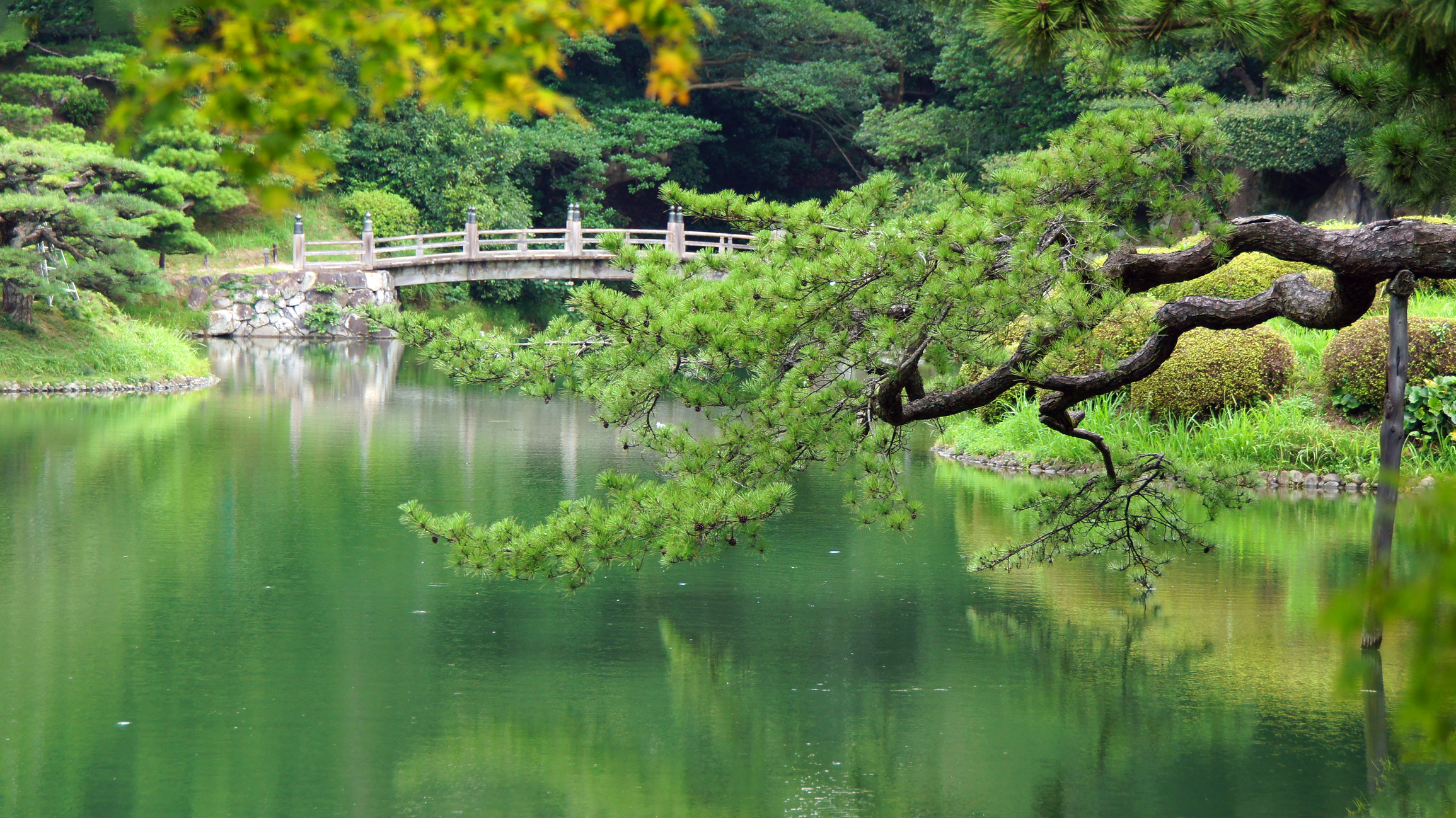 japan aagje dejong licensed