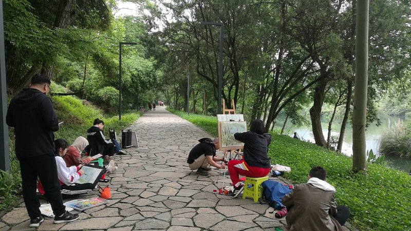 Yellow Fruit Tree Waterfall Park