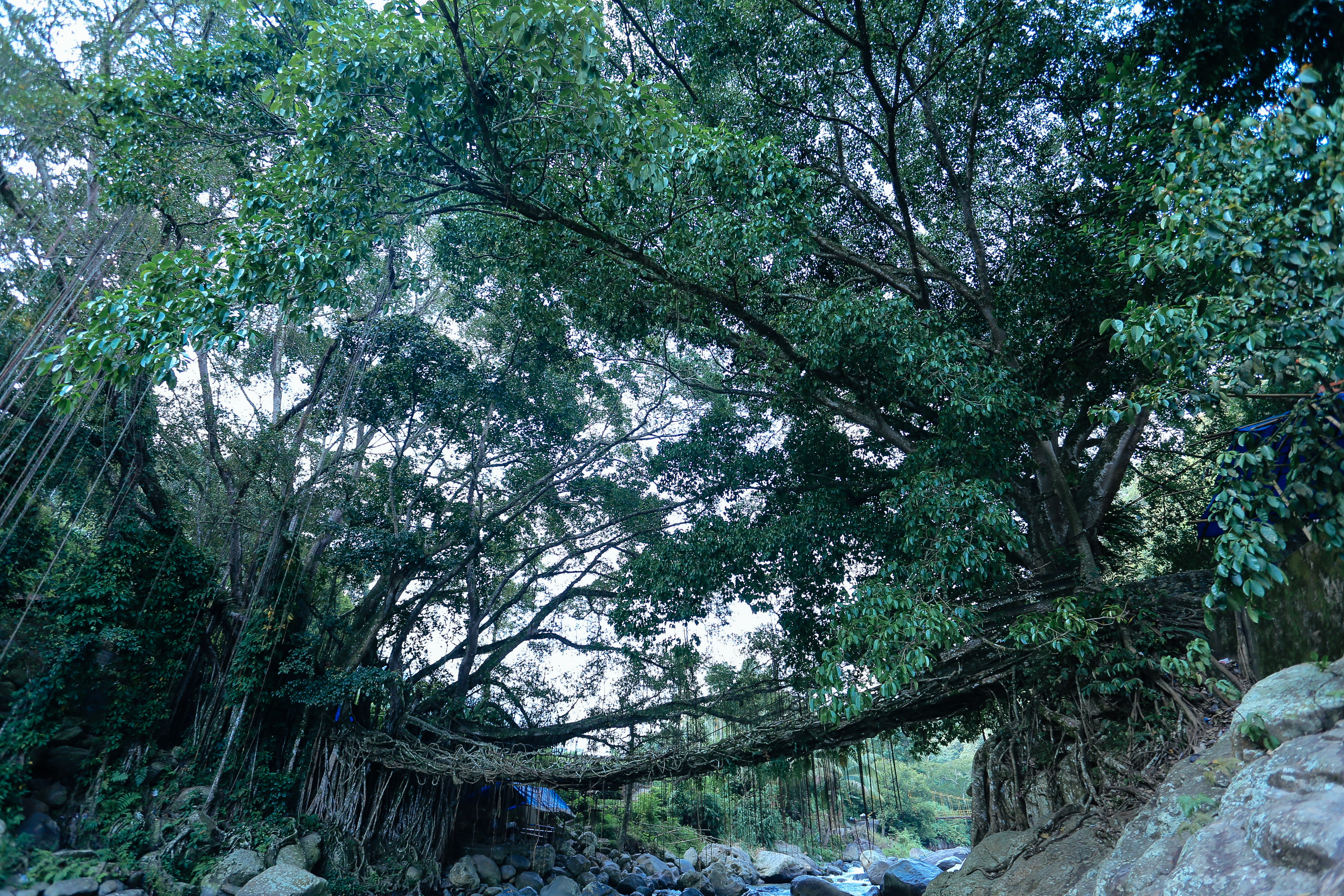 indonesia encik adnan
