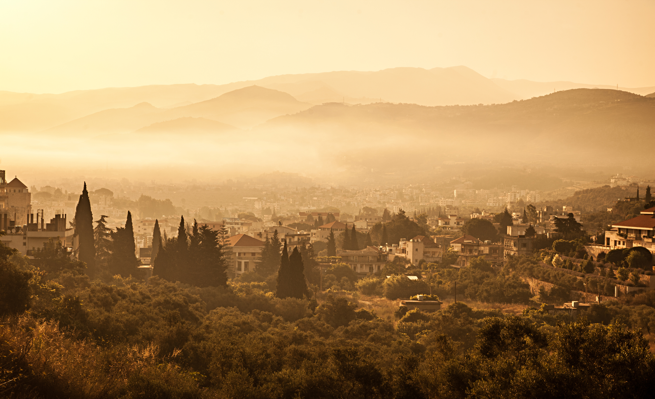 Lebanon Anna Om Licensed