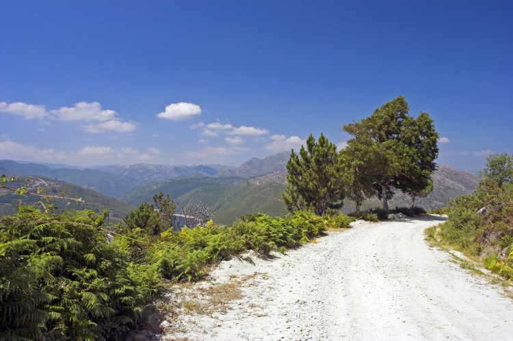 portugal Da Mata licensed