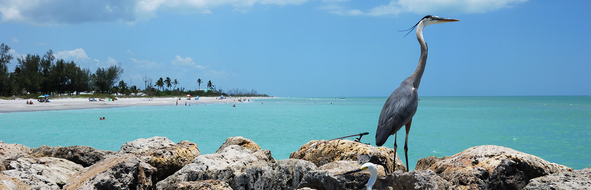 captia-1945x625-c-default