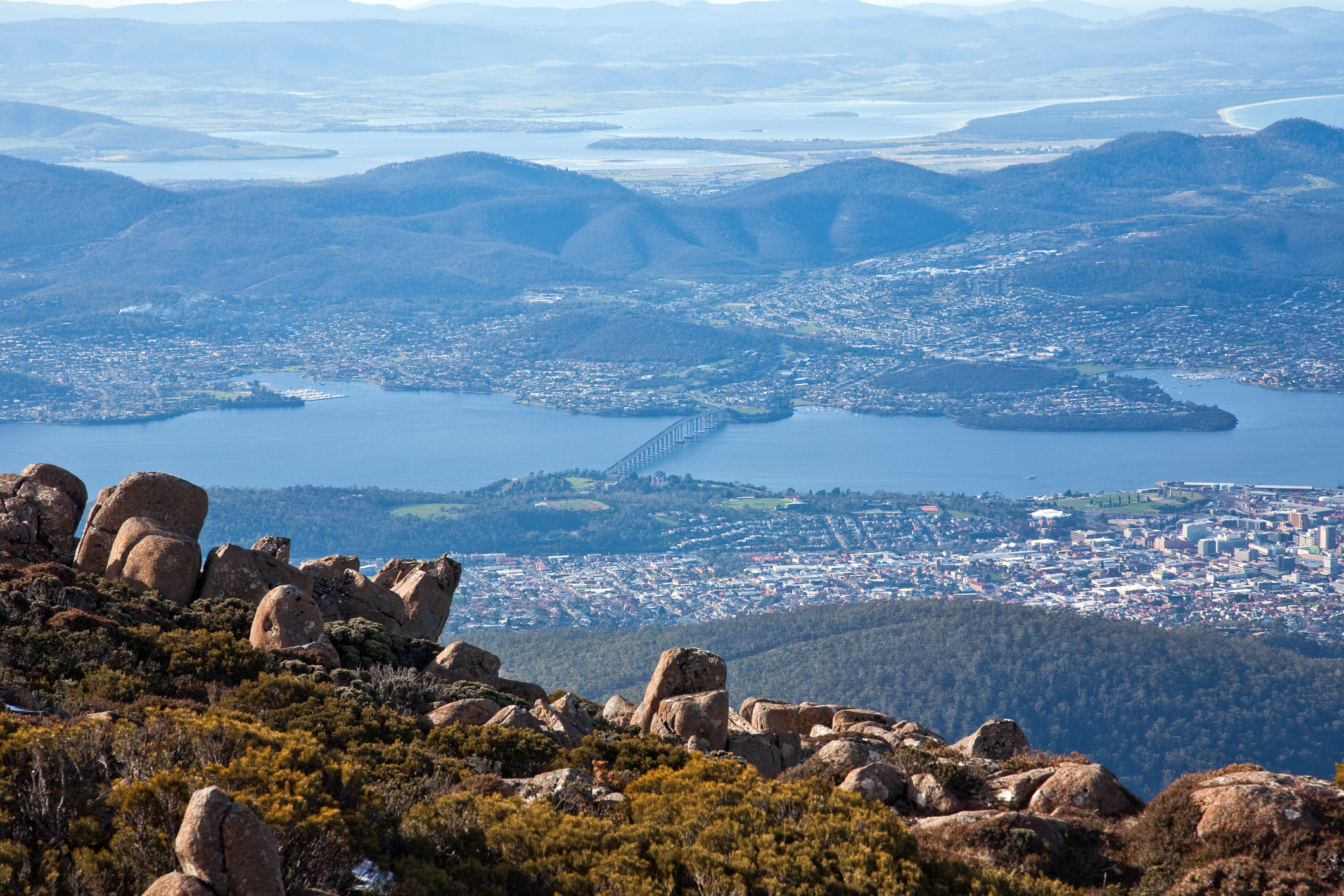 tasmania tamara bauer licensed