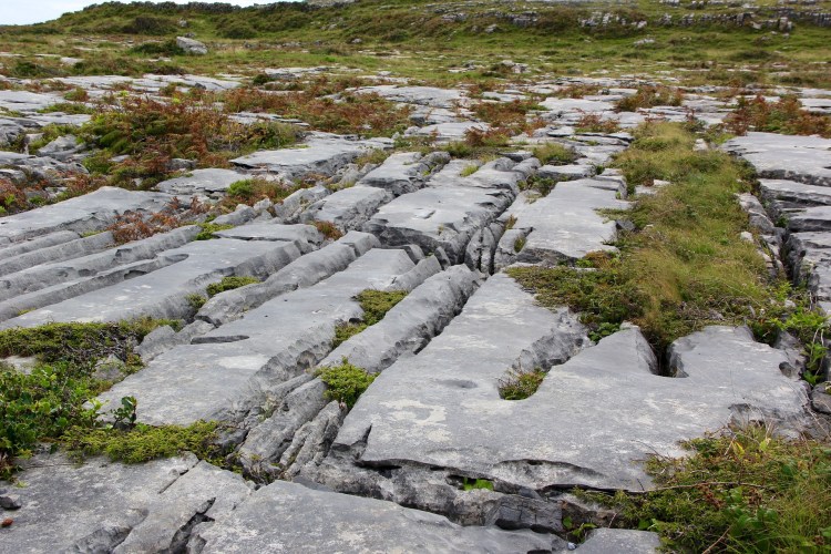 the-burren-981898_1920