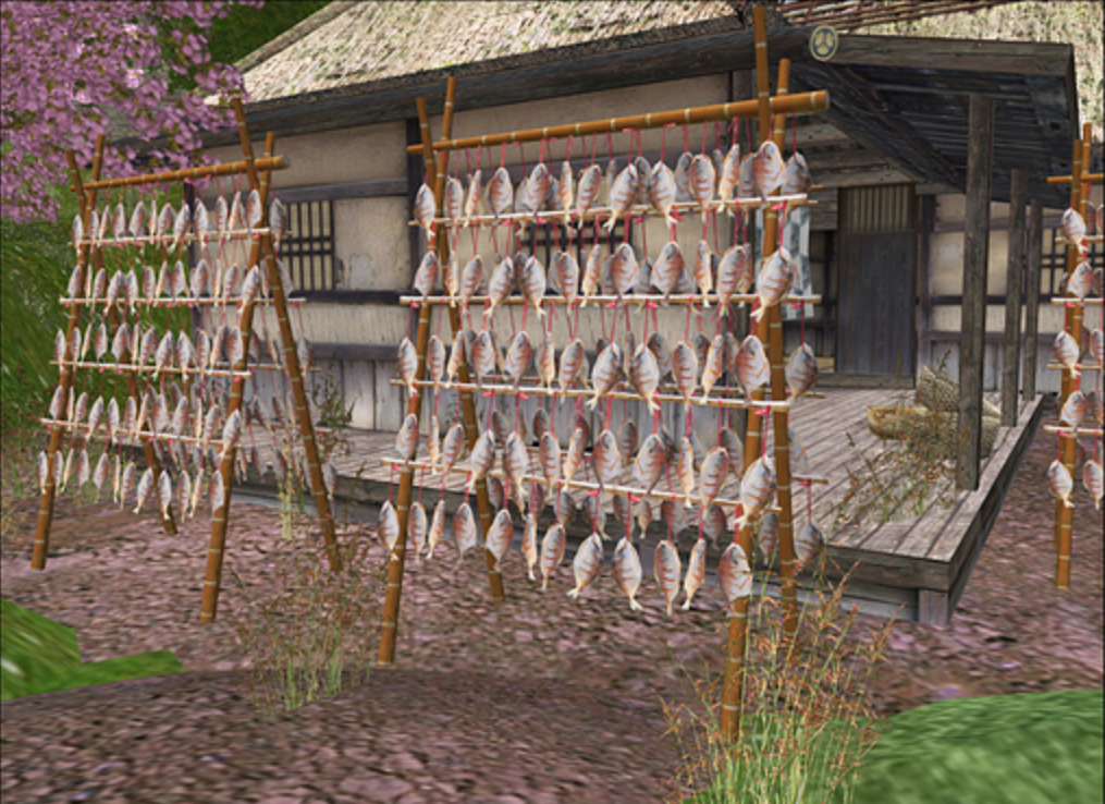 fish drying rack