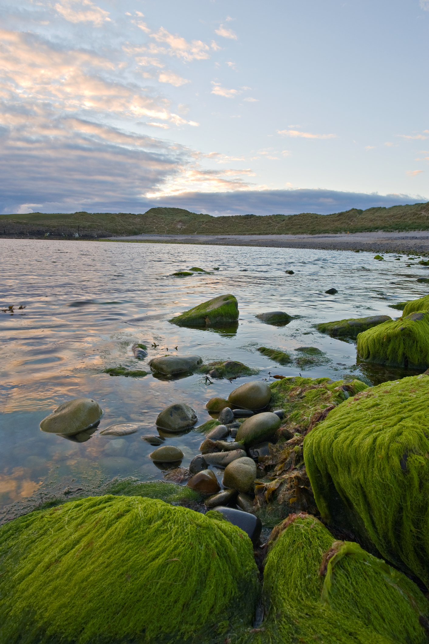Ireland sligo Michael Walsh licensed