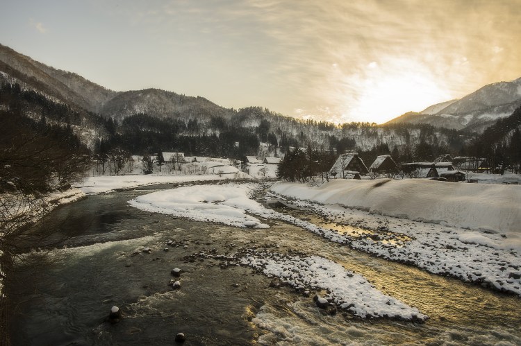 japan zeptems licensed