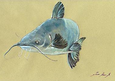 2-channel-catfish-fish-animal-watercolor-painting-juan-bosco