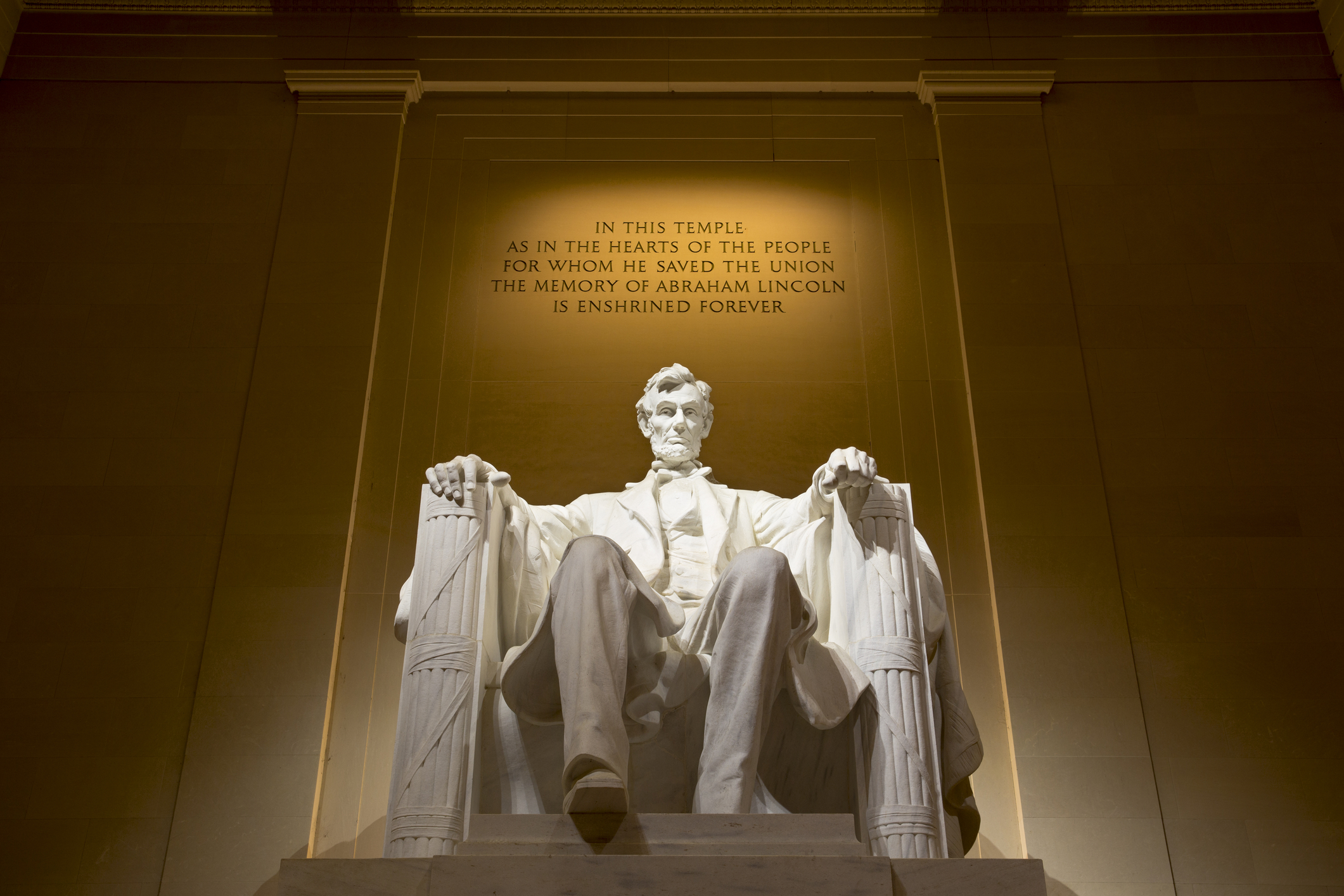 licensed david evison