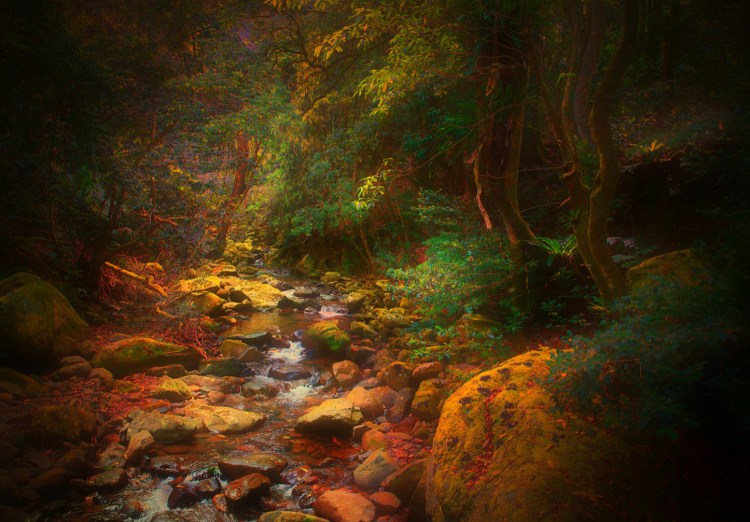 minnamurra kevin rheese