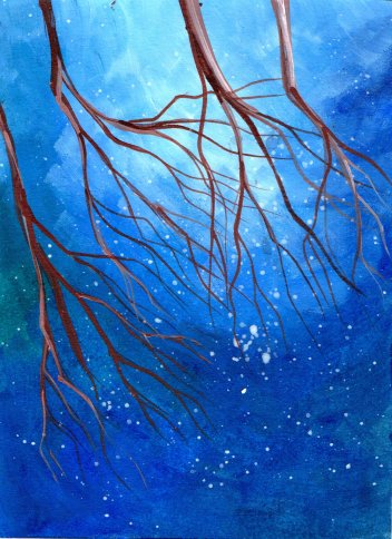 Nightfall at Minnamurra