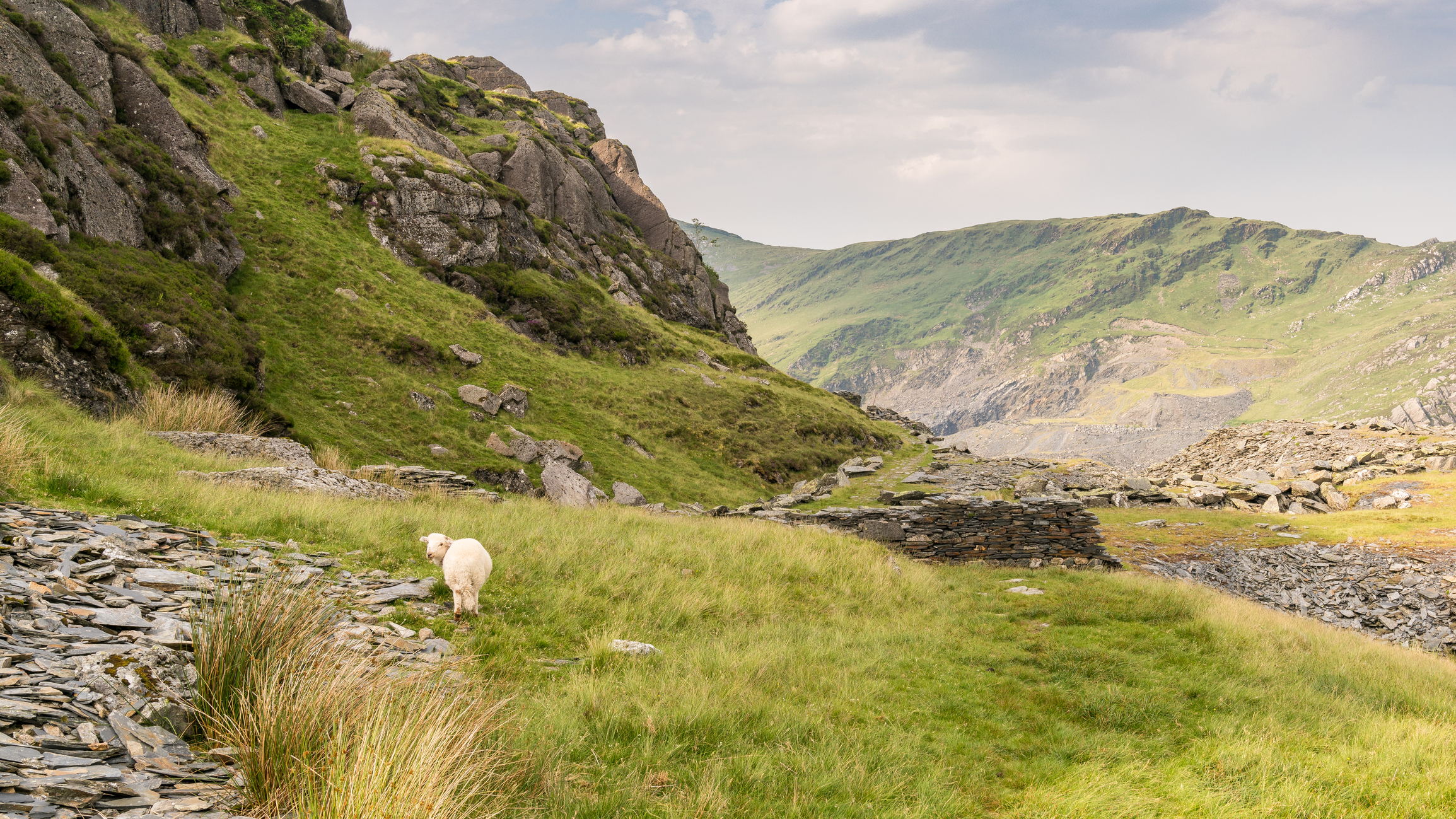 wales brueggermann licensed