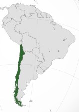 chile map